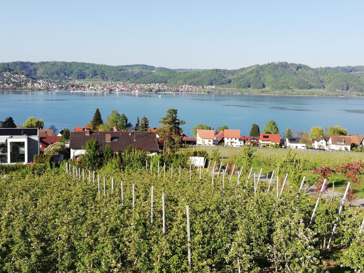 Fewo Segelwind Bodman-Ludwigshafen Extérieur photo
